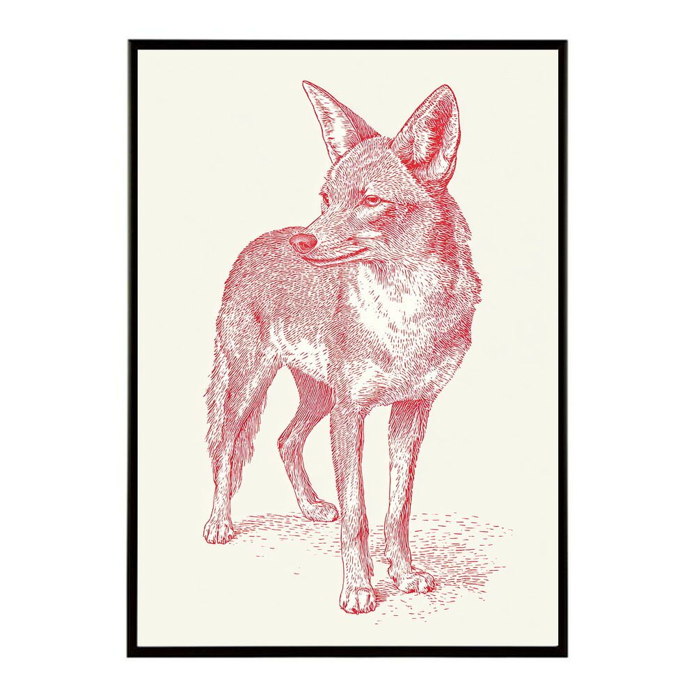 OT-12715）molten モルテン バディーI 2024 MNTCMSRCS(小型丸型