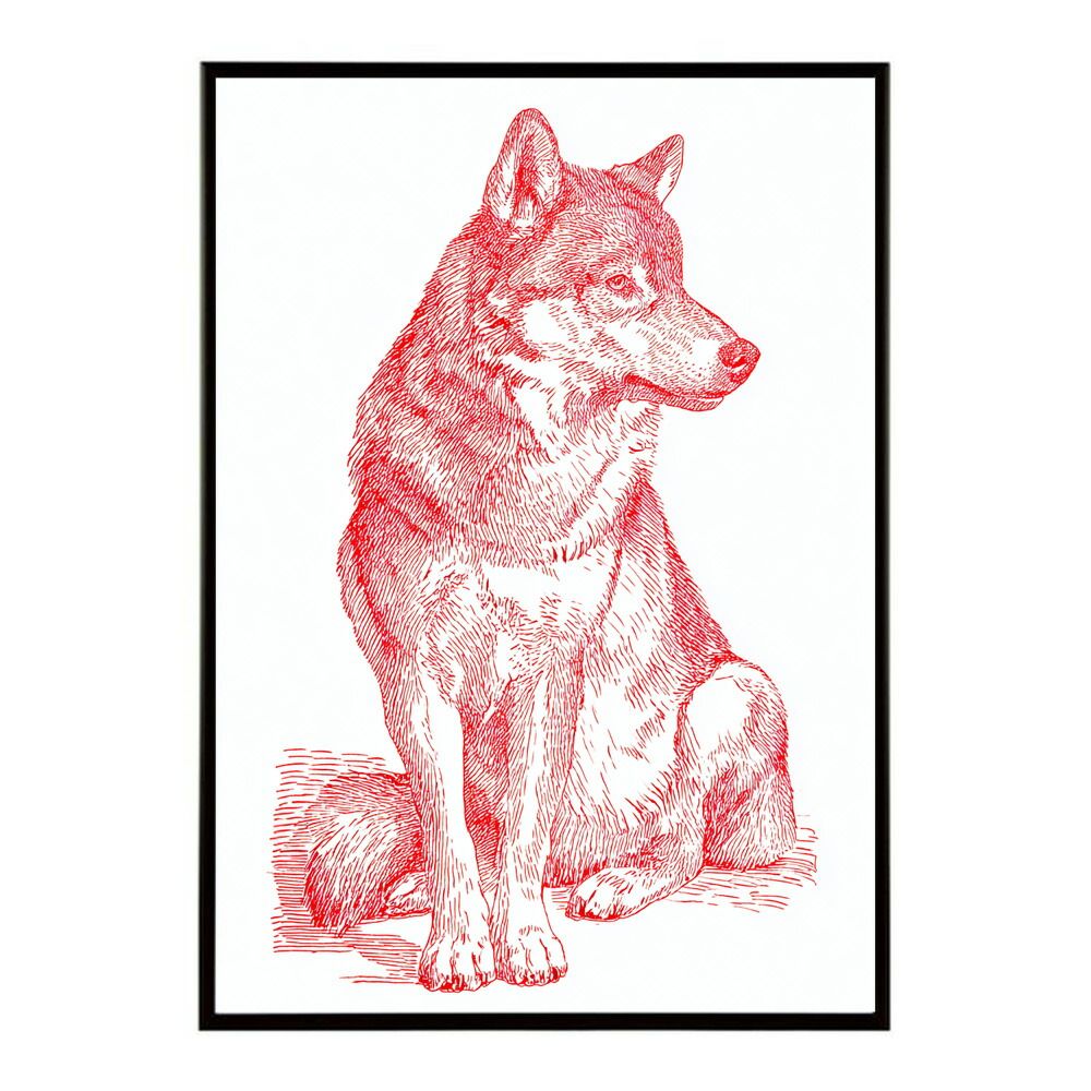 たにこ様専用ページ】Orville お買い得品 Tsinnie