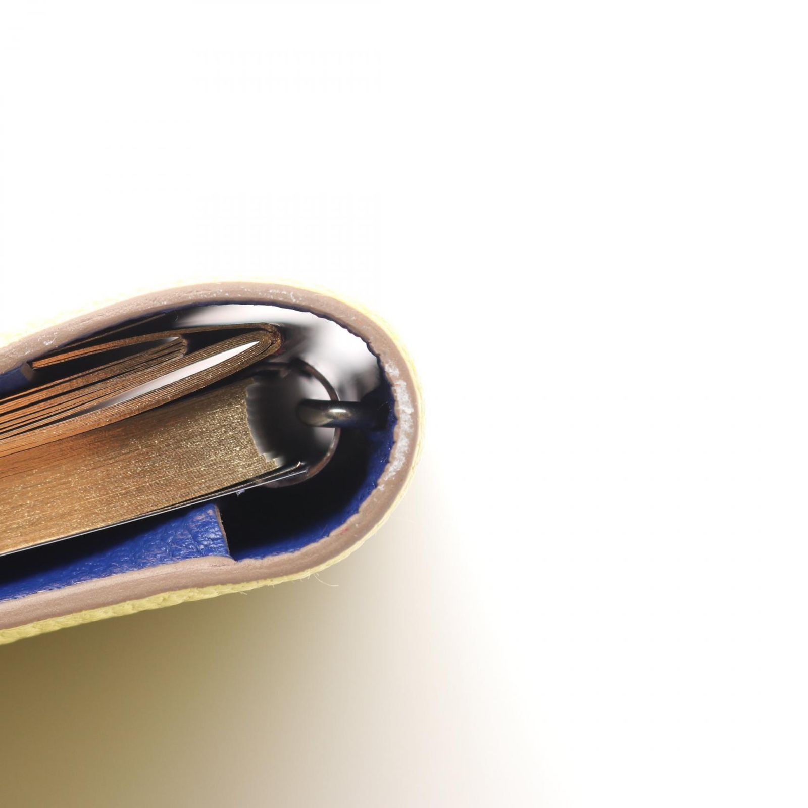 ブルーロワイヤル レザー