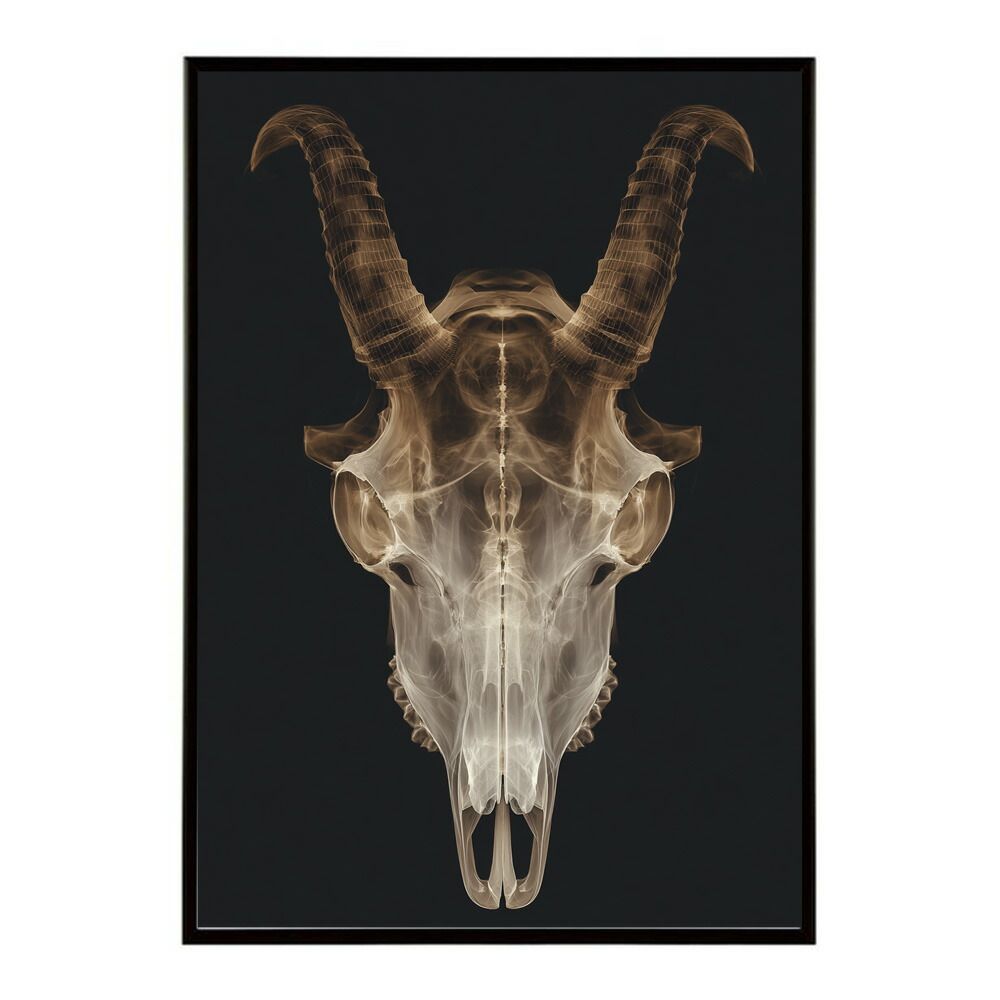 【A4サイズ（約21x30cm）】【lm-poster-5515】【フレーム付き】アートポスター ゴートスカル ヤギ 頭骨 モノトーン 骸骨 デザイン 壁掛け イラスト