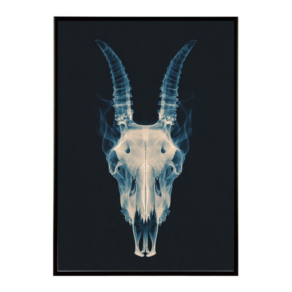 数量限定，セール 【A1サイズ（約59x84cm）】【lm-poster-5516