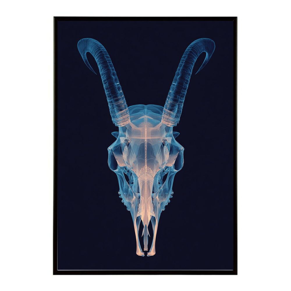 【A4サイズ（約21x30cm）】【lm-poster-5527】【フレーム付き】アートポスター ゴートスカル ヤギ 頭骨 モノトーン 骸骨 デザイン 壁掛け イラスト