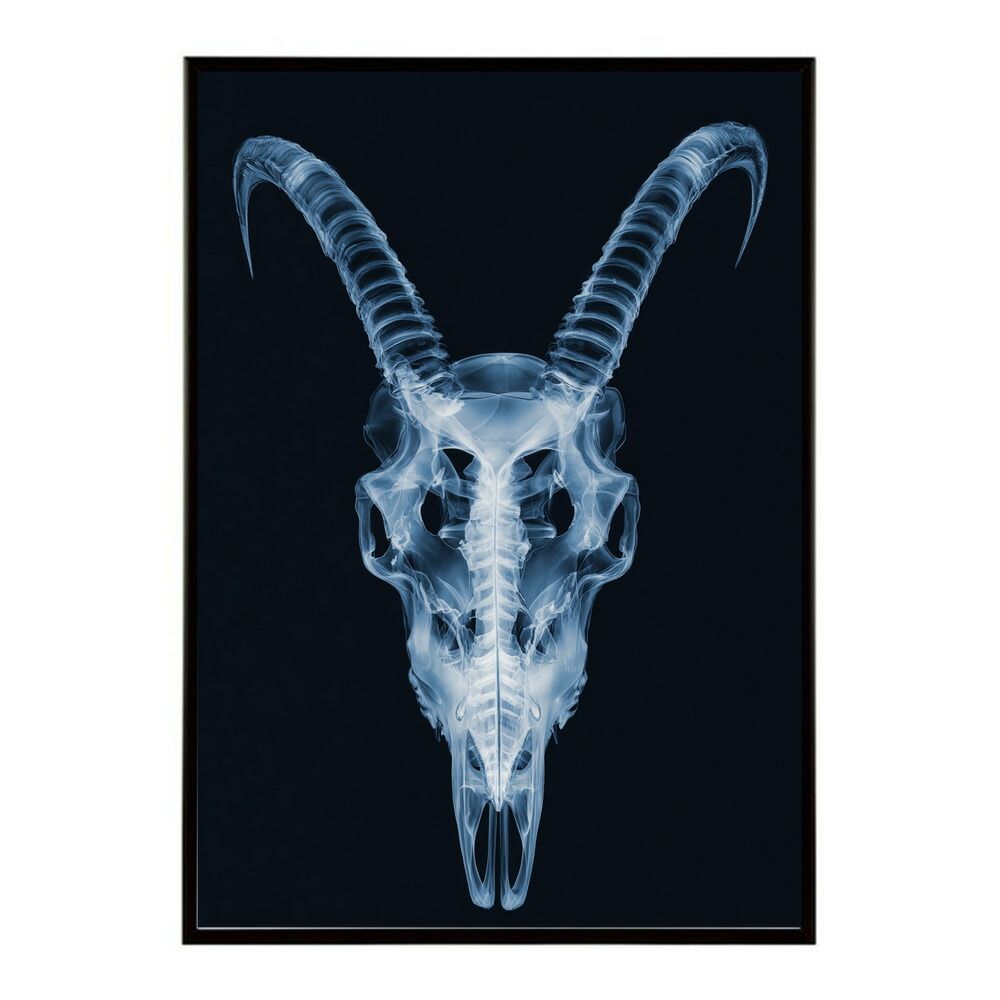 美品ボーラホリック FATトラックパンツ ネイビー JUMBO サイズ 美品ボーラホリック FATトラックパンツ ネイビー JUMBO サイズ ストア