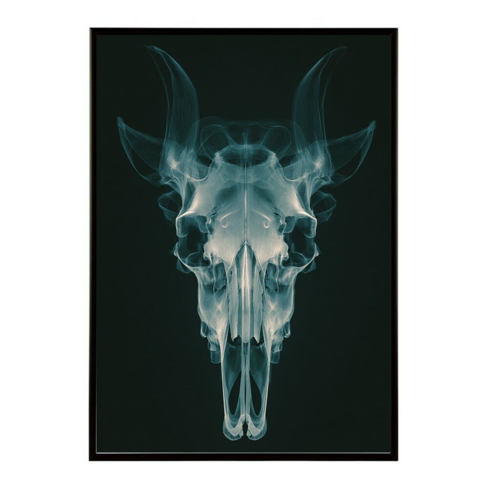 A1サイズ（約59x84cm）】【lm-poster-5343】【フレーム付き】ドクロ