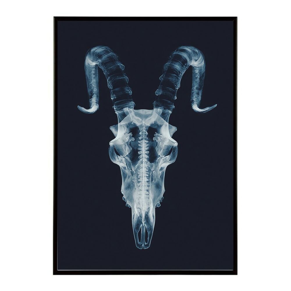 はなまる幼稚園 3巻 勇人 イラストサイン本 はなまる幼稚園 3巻 勇人 イラストサイン本 - メルカリ