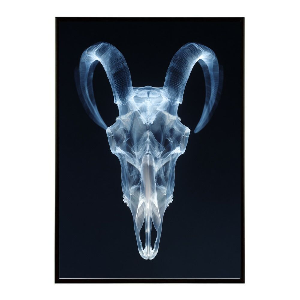 B2サイズ（約51x73cm）】【lm-poster-5556】【フレーム付き】アート