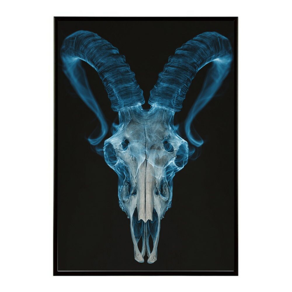 【A0サイズ（約84x119cm）】【lm-poster-5562】【フレーム付き】アートポスター ゴートスカル ヤギ 頭骨 モノトーン 骸骨 デザイン 壁掛け イラスト