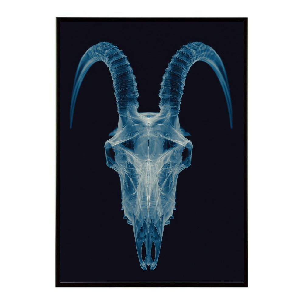 ウォールデコレーション 【A1サイズ（約59x84cm）】【lm-poster-5557】【フレーム付き】アートポスター ゴートスカル ヤギ 頭骨 モノトーン 骸骨 デザイン 壁掛け イラスト