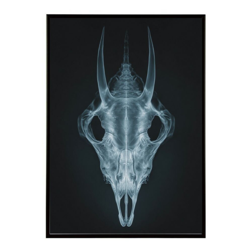 A0サイズ（約84x119cm）】【lm-poster-5562】【フレーム付き】アート