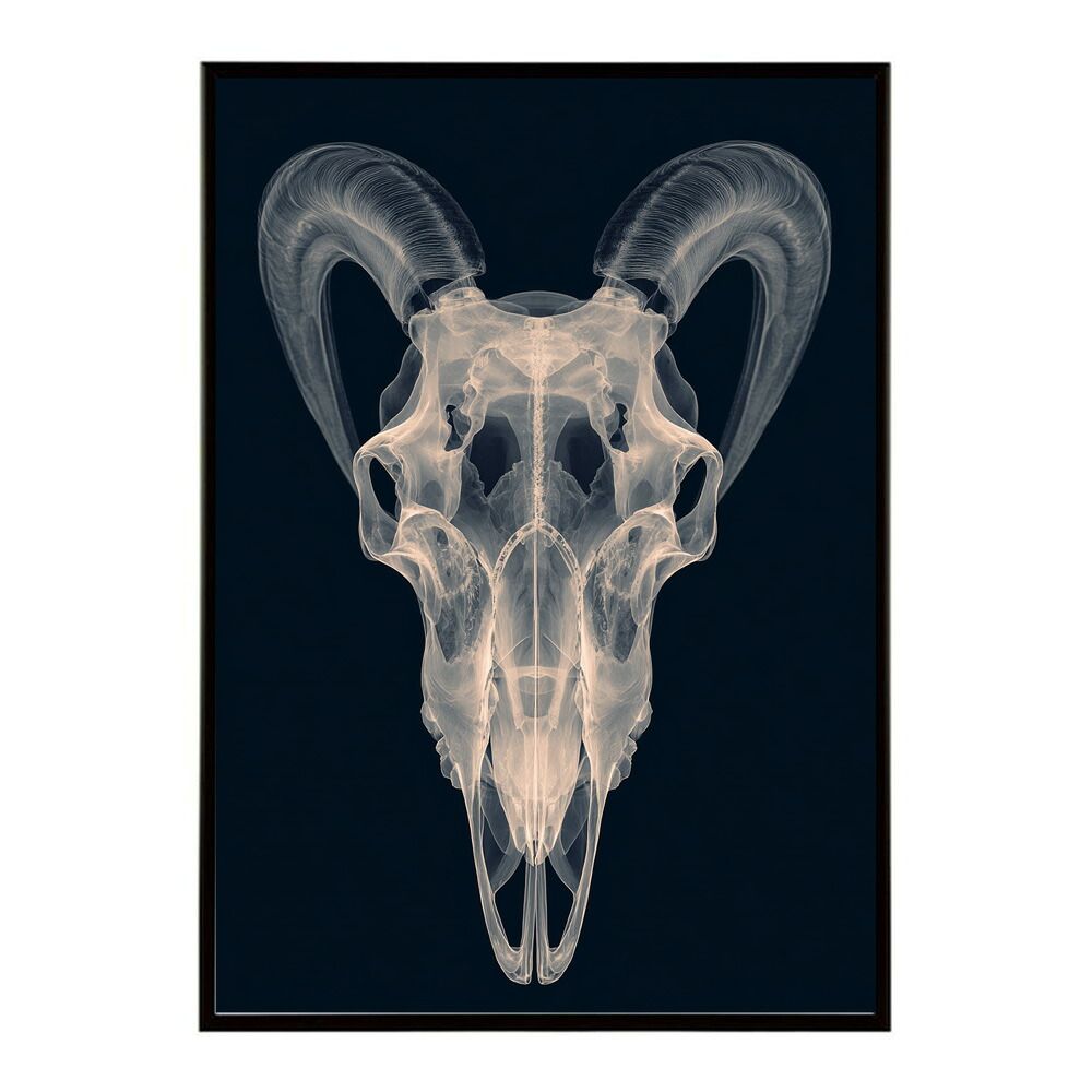 B2サイズ（約51x73cm）】【lm-poster-5579】【フレーム付き】アート