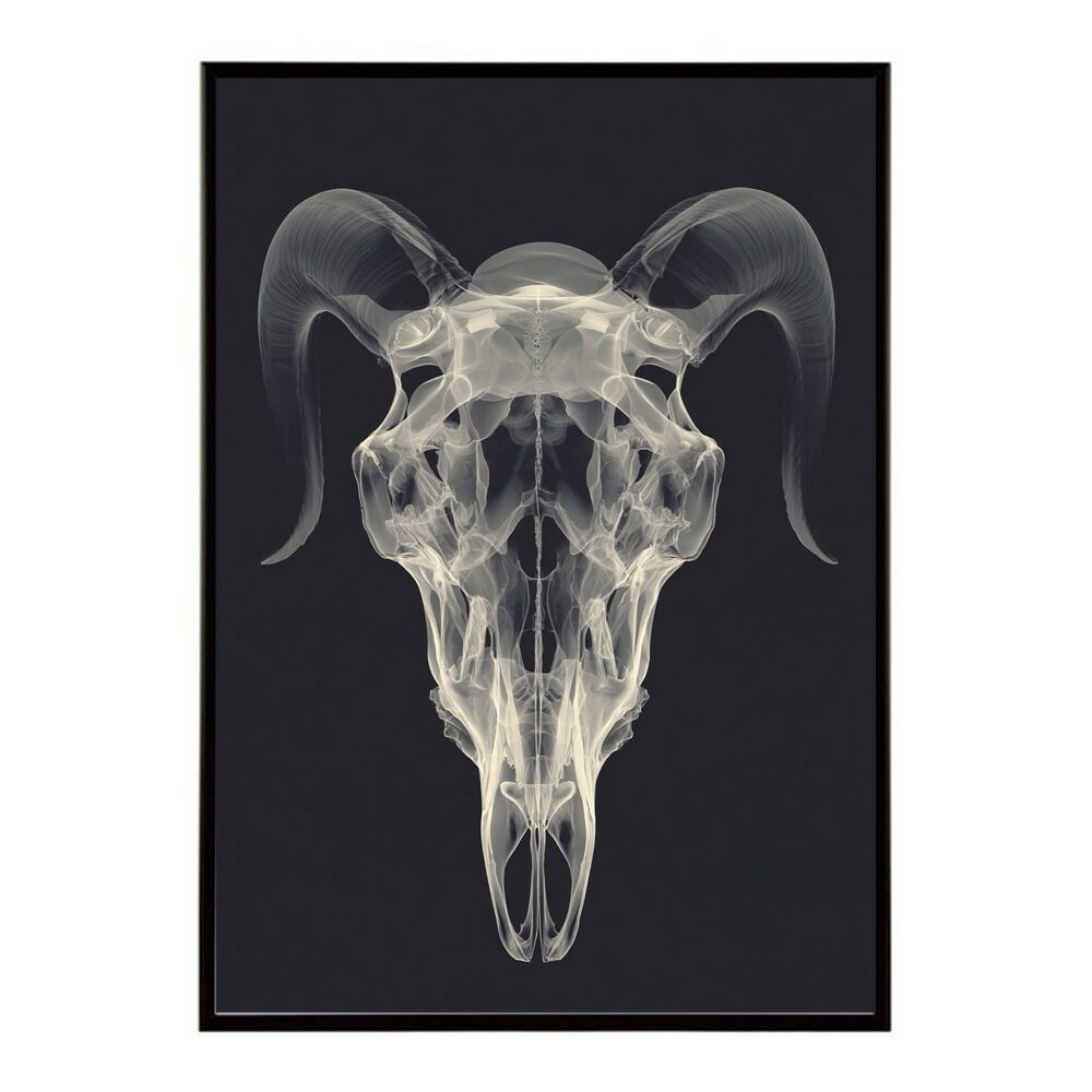 購入 海月絵画〜静かで平和な世界〜 絵画の通販、購入ならFROM ARTIST