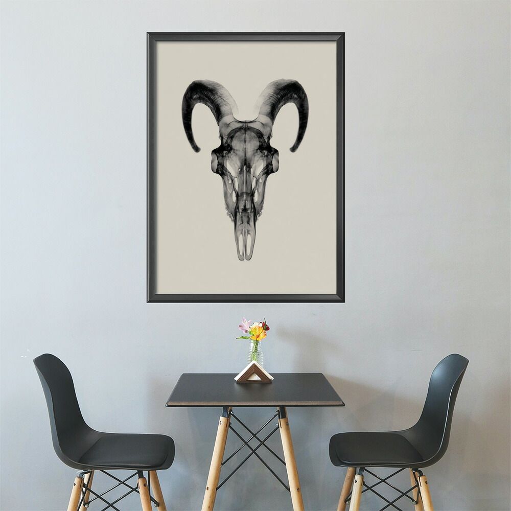 アクリル画 動物の頭骨 高級感あるフレーム入り 約75cm x 94cm アクリル画 動物の頭骨 高級感あるフレーム入り 約75cm x 94cm
