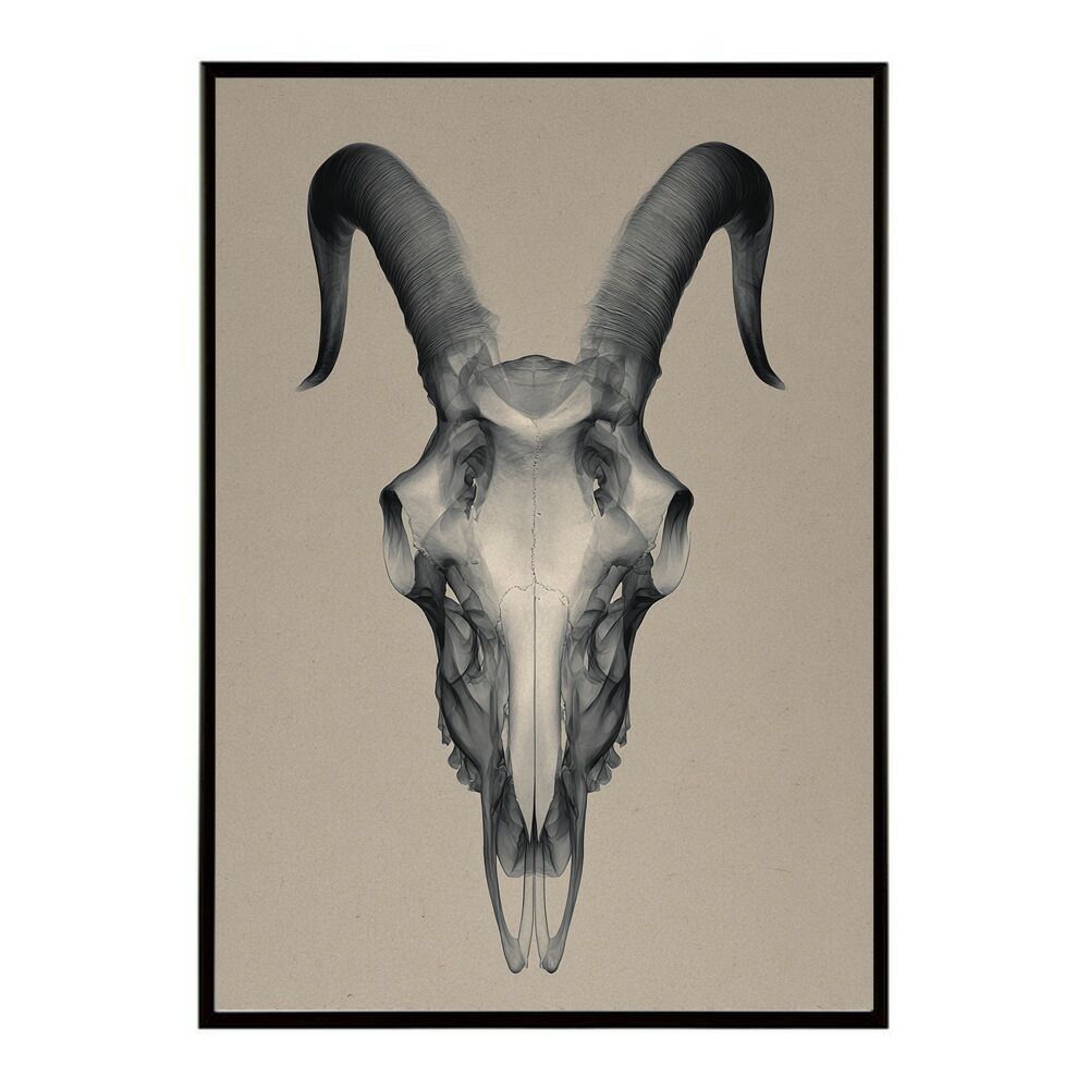 【A2サイズ（約42x59cm）】【lm-poster-5620】【フレーム付き】アートポスター ゴートスカル ヤギ 頭骨 モノトーン 骸骨 デザイン 壁掛け イラスト