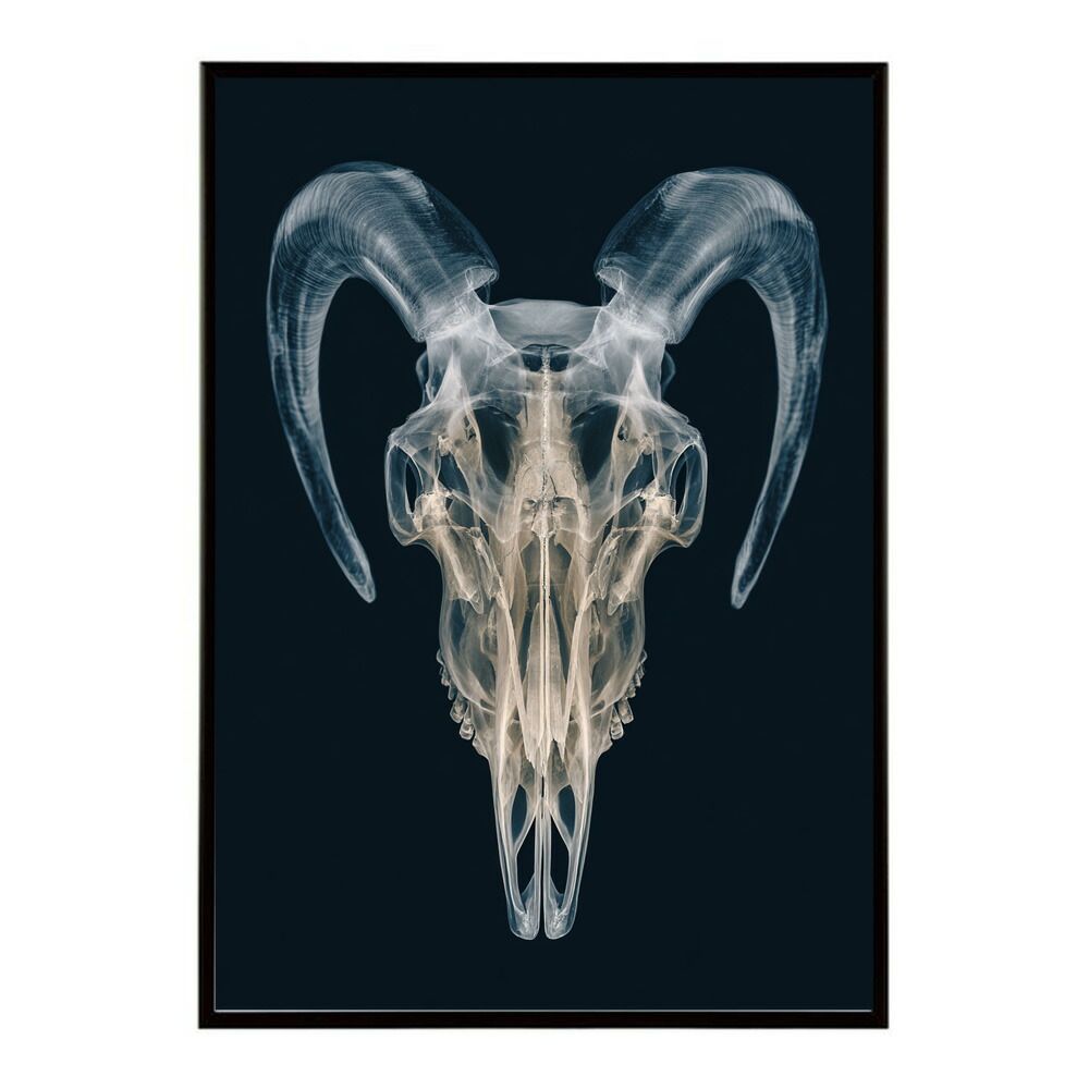 A4サイズ（約21x30cm）】【lm-poster-5621】【フレーム付き】アート