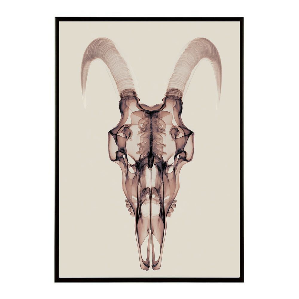 B2サイズ（約51x73cm）】【lm-poster-5624】【フレーム付き】アート