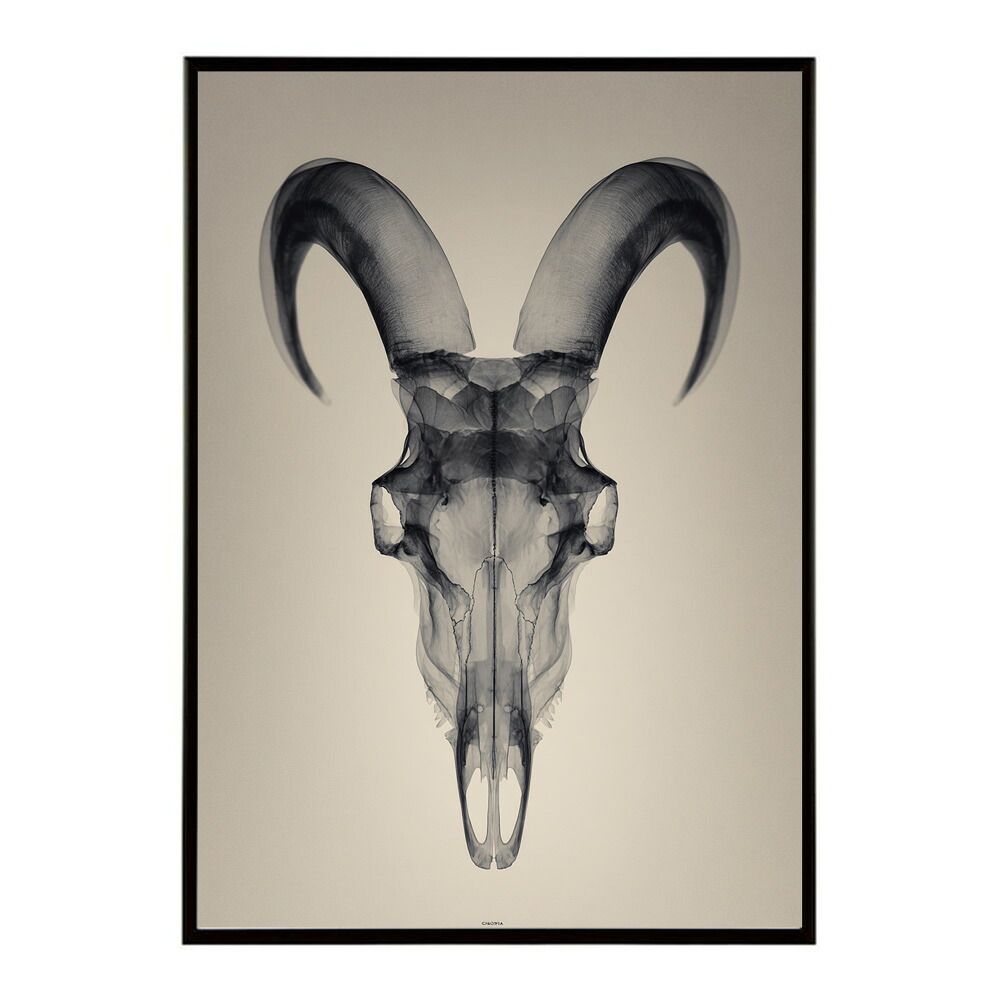 A4サイズ（約21x30cm）】【lm-poster-5626】【フレーム付き】アート