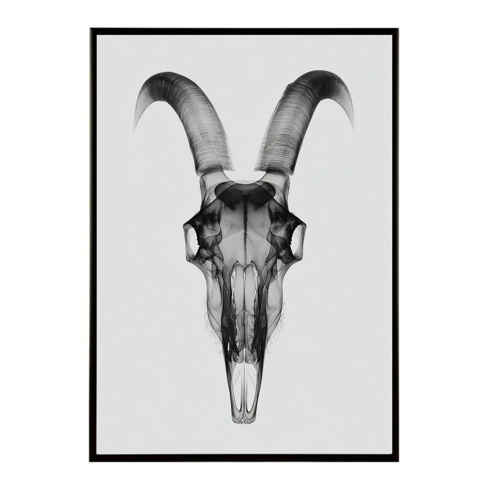 ショップ 10倍がゆ様専用 あんぶれあ 後ギャザーのふんわり