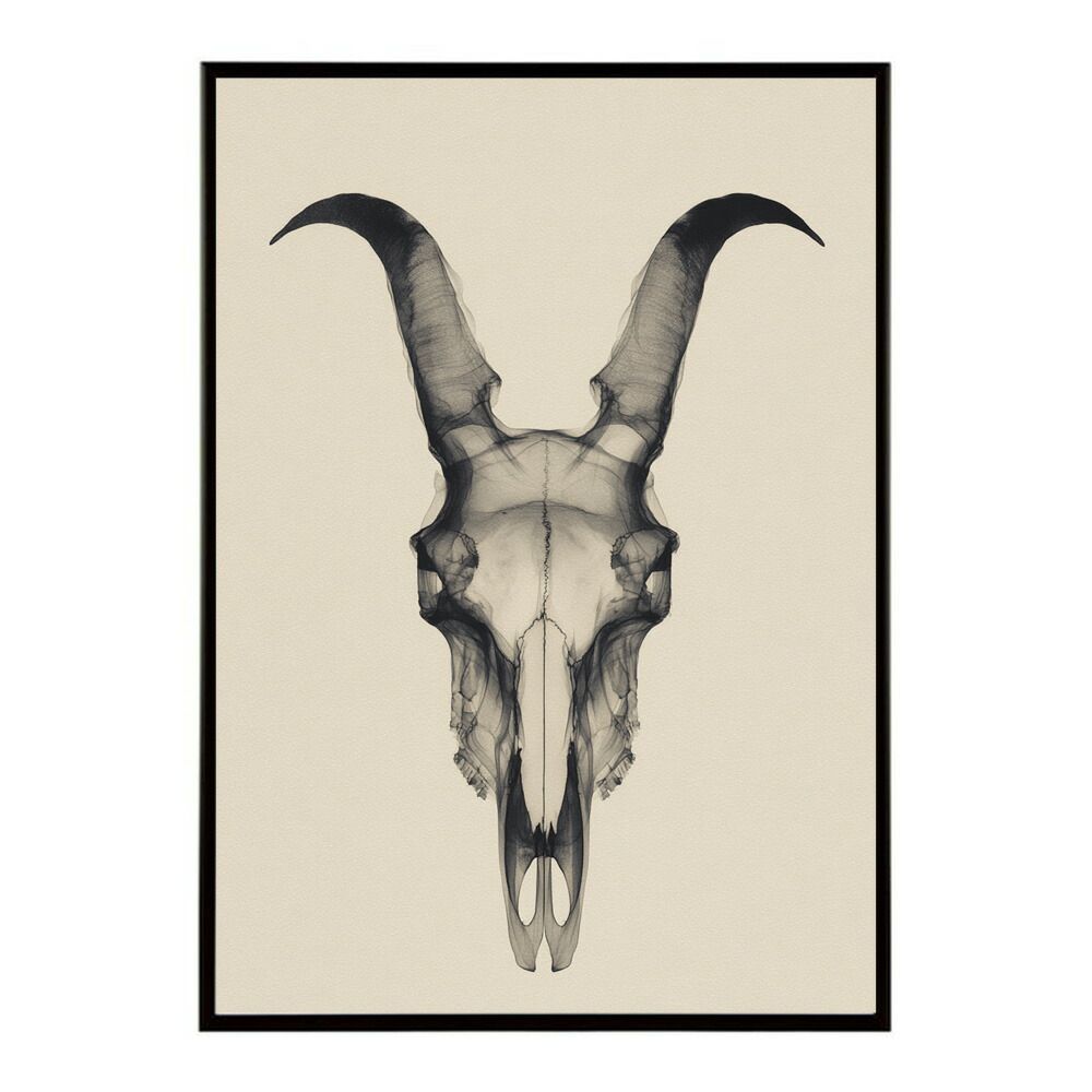 【B3サイズ（約36x51cm）】【lm-poster-5629】【フレーム付き】アートポスター ゴートスカル ヤギ 頭骨 モノトーン 骸骨 デザイン 壁掛け イラスト