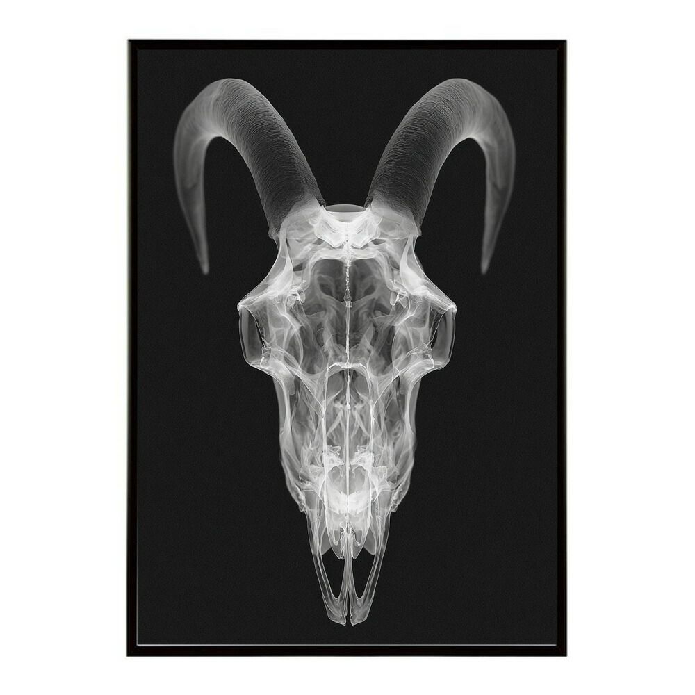 NATURE'S MORPHOLOGY 片岡繁夫 西村好美 歯科 歯科技工 【公式通販】