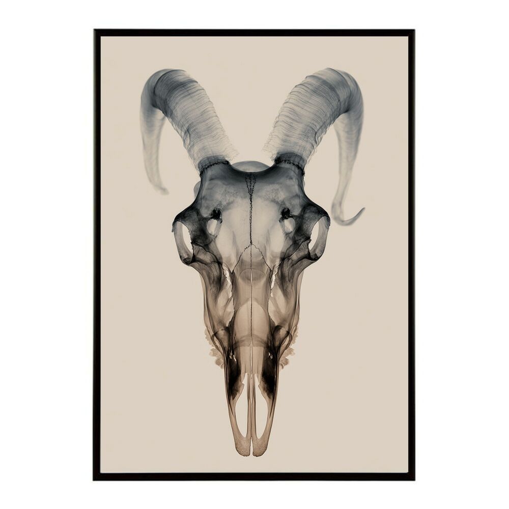 【A4サイズ（約21x30cm）】【lm-poster-5631】【フレーム付き】アートポスター ゴートスカル ヤギ 頭骨 モノトーン 骸骨 デザイン 壁掛け イラスト