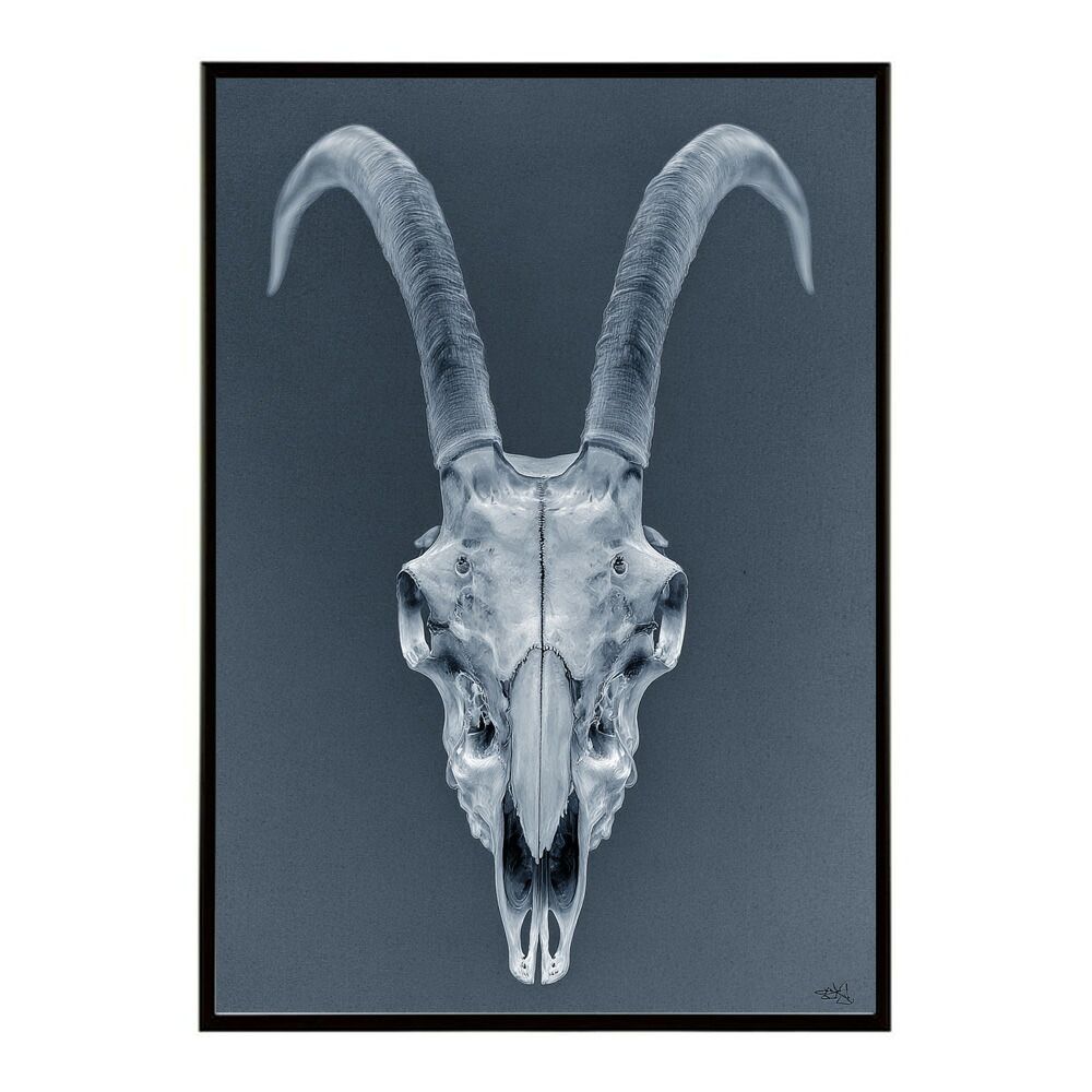 A4サイズ（約21x30cm）】【lm-poster-5636】【フレーム付き】アート