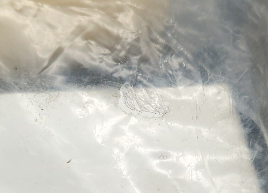 Pia PINK ノンスケールキャストキット ポプリクラブの女の子 ポプリクラブ 2000 2