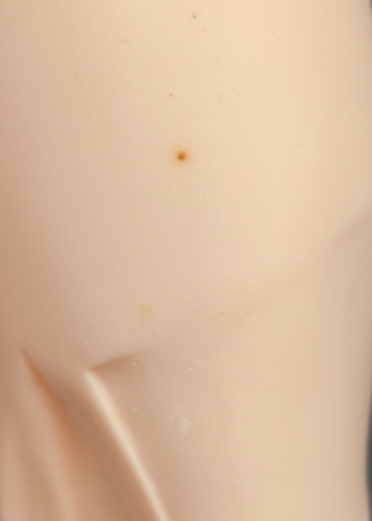 4スケールソフビキット 原型