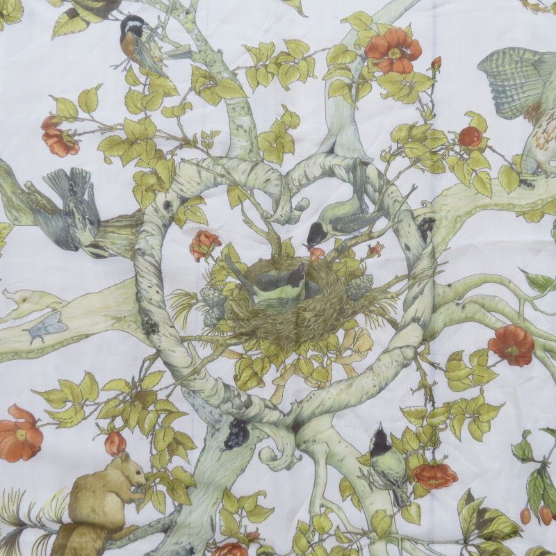 森の中で カレ90