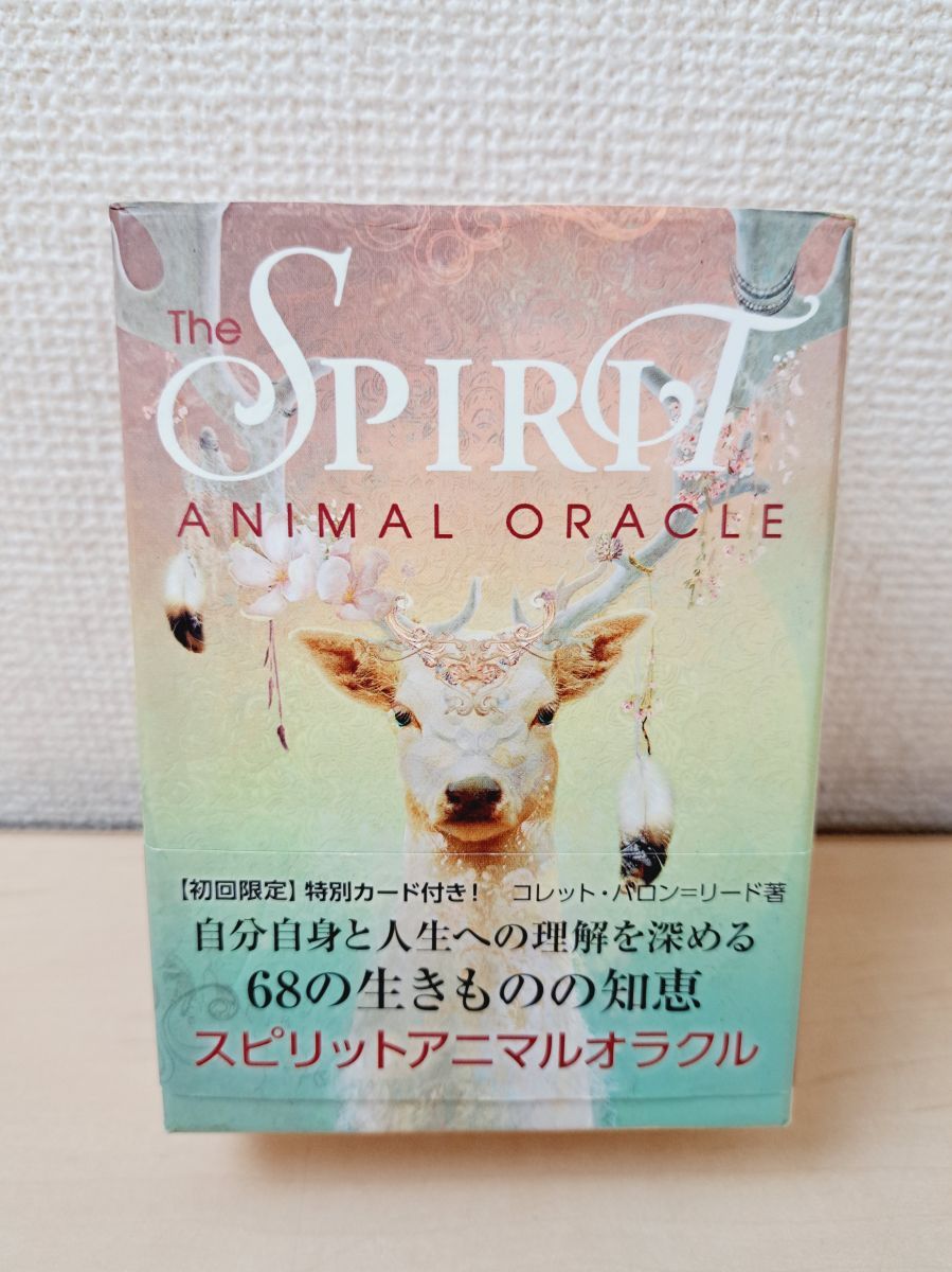 オールモストブラック ALMOSTBLACK ARTPICTURE L/S TEEスウェット