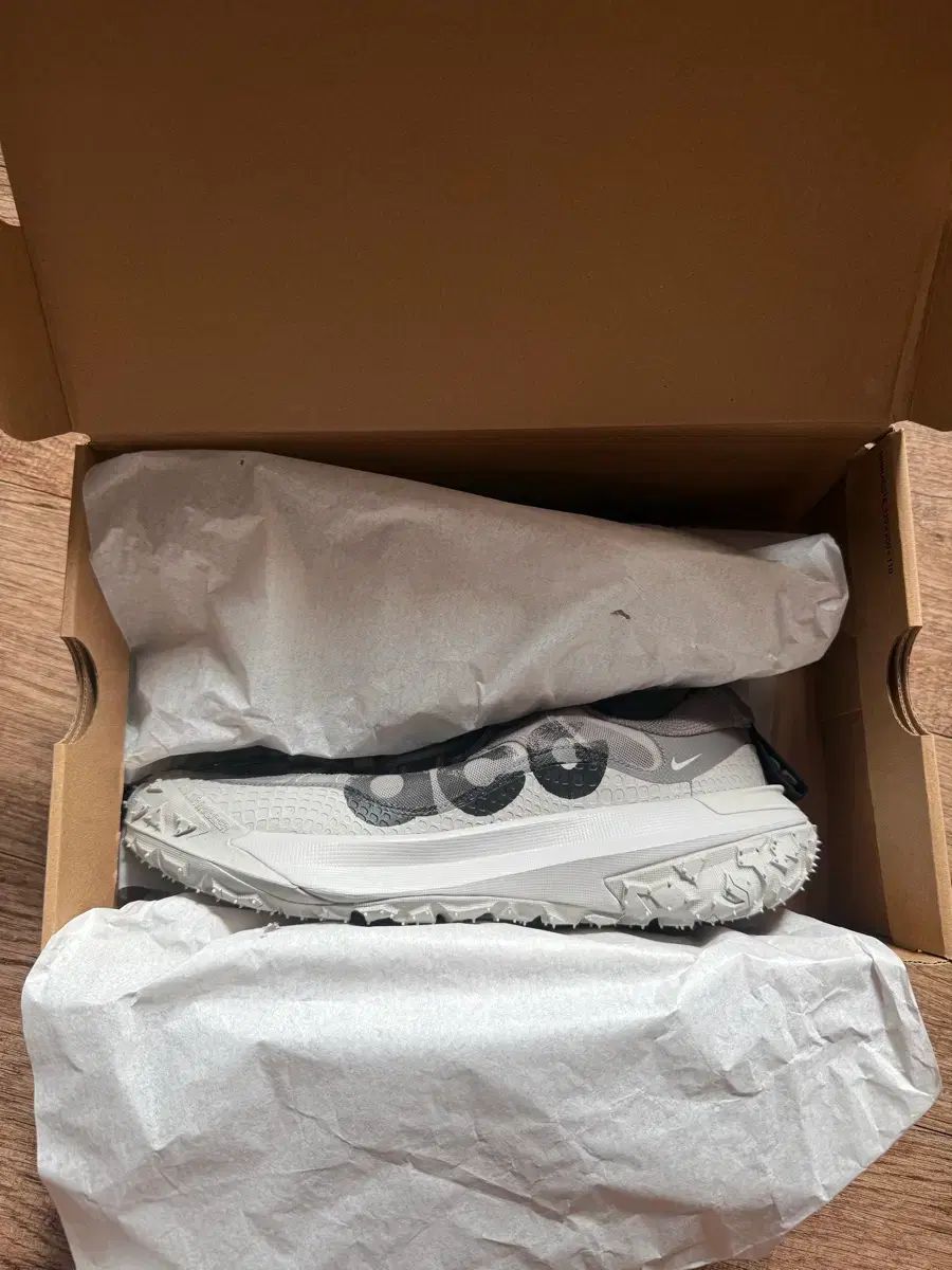 260 NIKE ACG マウテン フライ 2