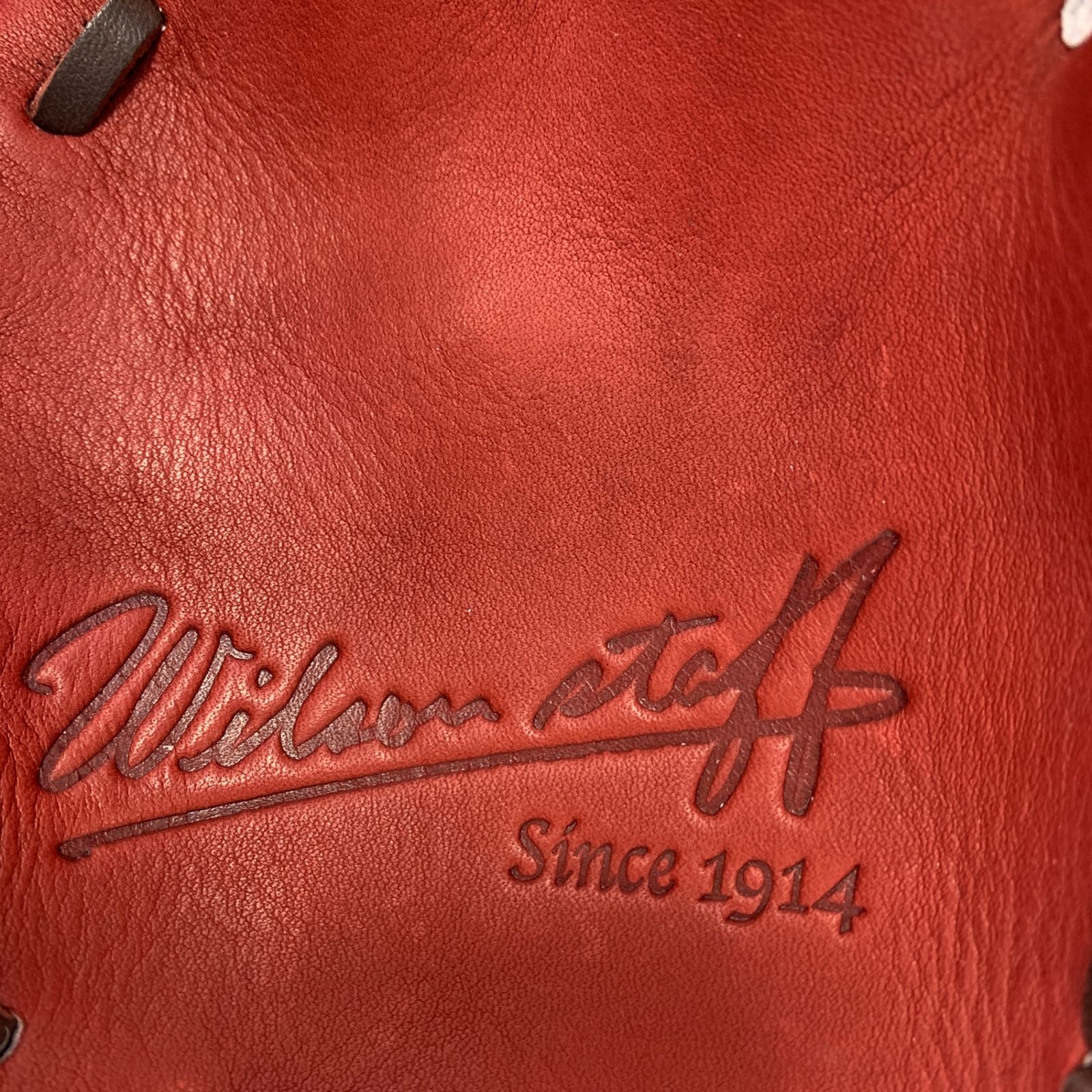 ウィルソンスタッフ