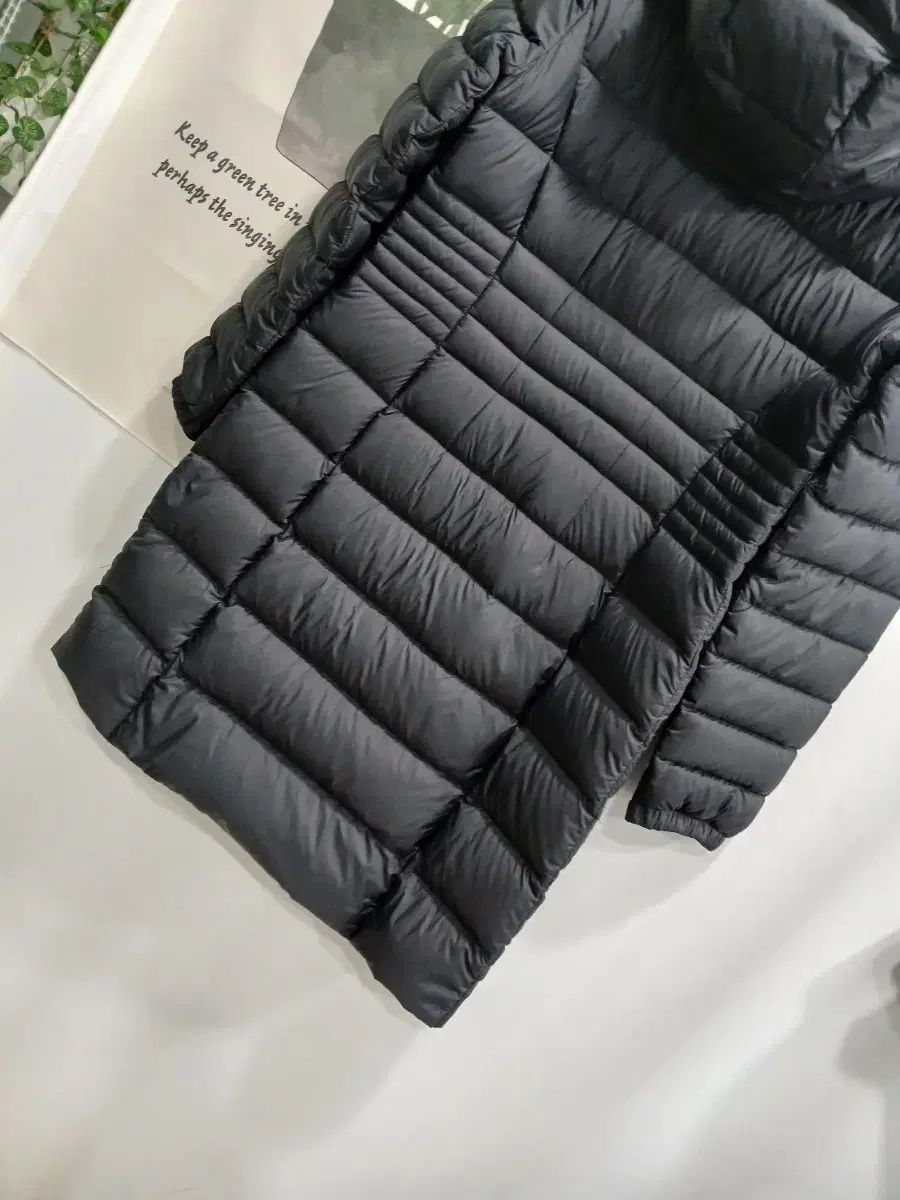 クリーニング済