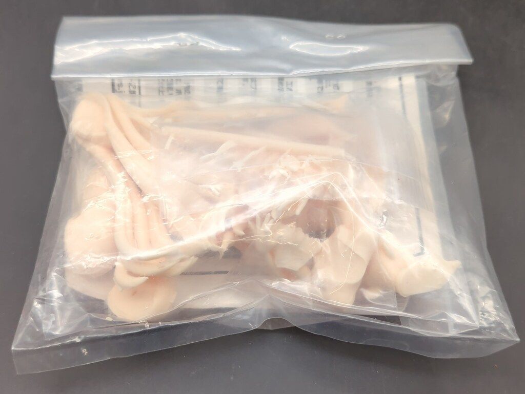 T s system レジンキャストキット 原型 宮川武 ユニコーン