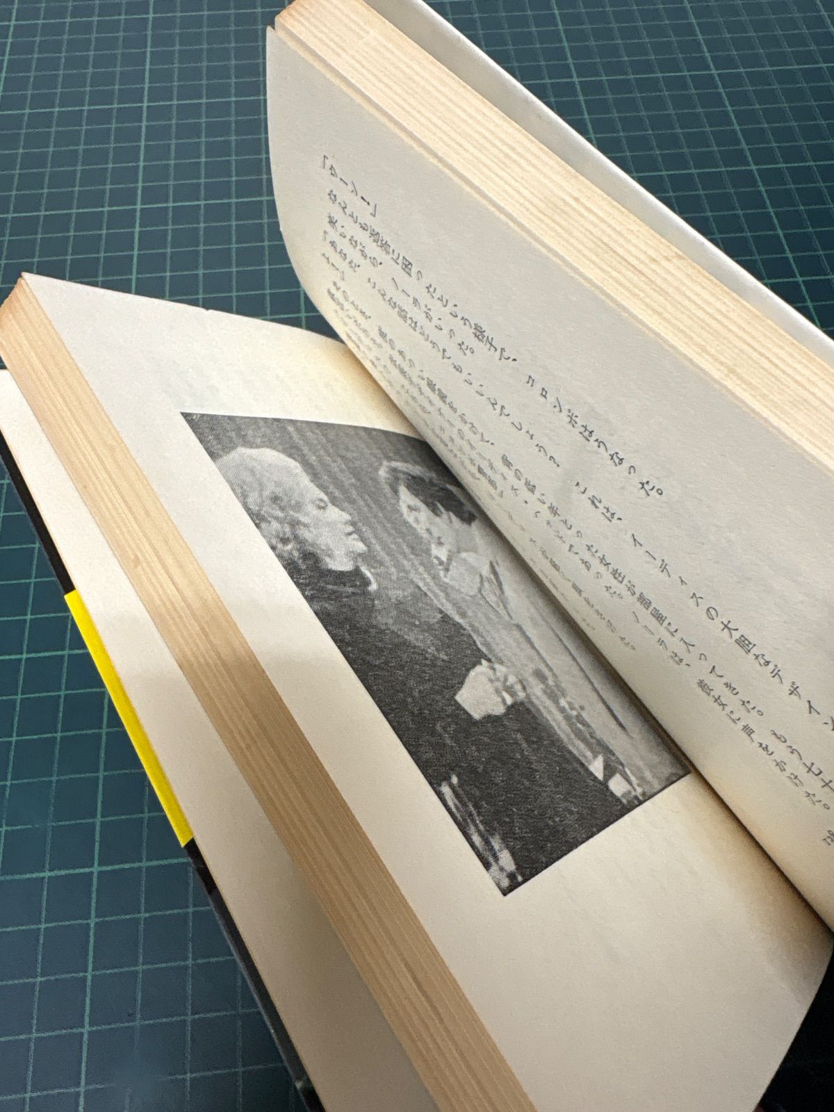 31冊中25冊初版 刑事コロンボ ノベル31冊set W・リンク R・レビンソン