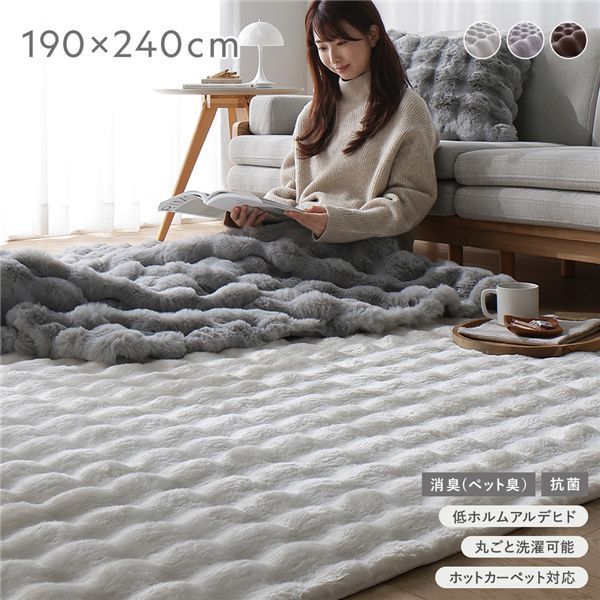ふわもこラグ 約190 240 cm アイボリー 抗菌 消臭 ペット臭 洗えるラグ パイルラグ ウォッシャブル 敷物 滑り止め加工 ホットカーペット対応 床暖房対応