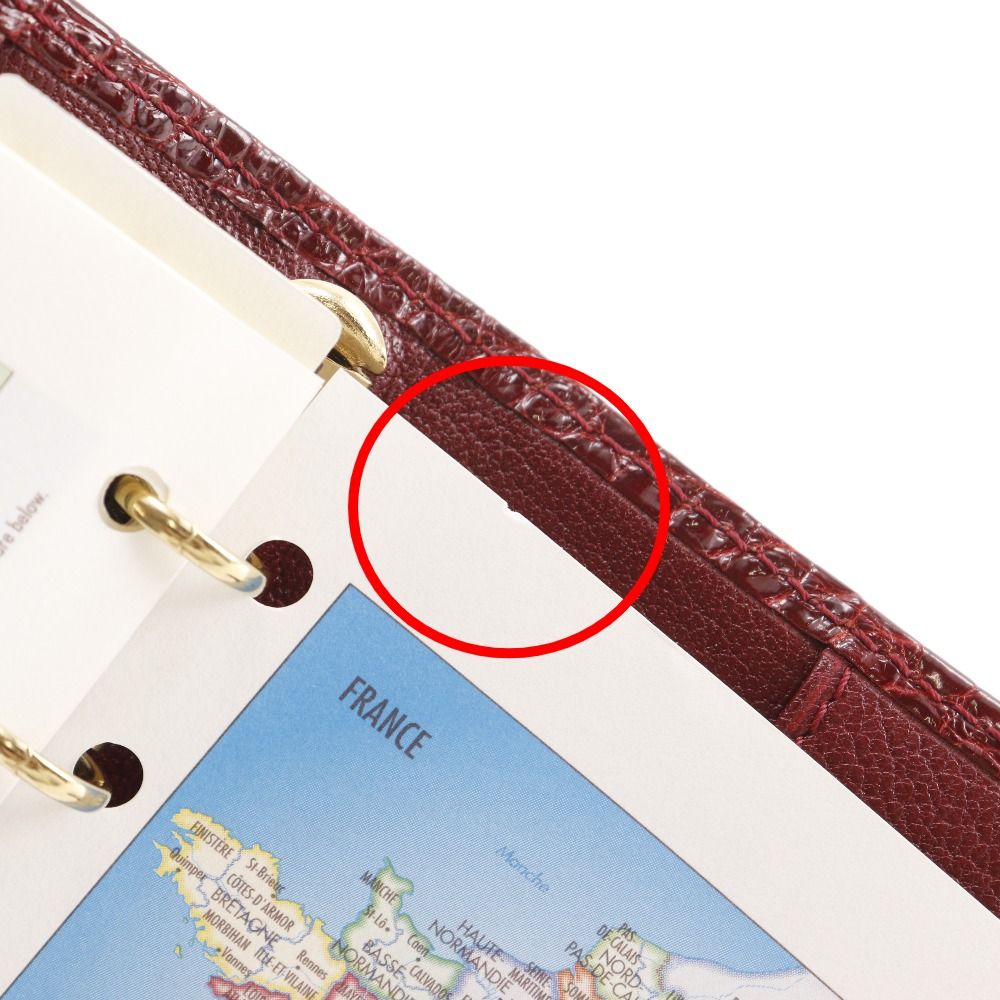  LOUIS VUITTON ルイ ヴィトン アジェンダPM アリゲーター 赤 AS 1011 ユニセックス 手帳カバー その他 キッチン 日用品 その他