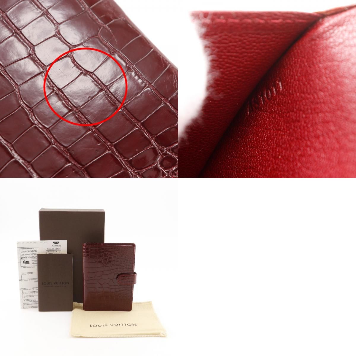 アリゲーター 赤