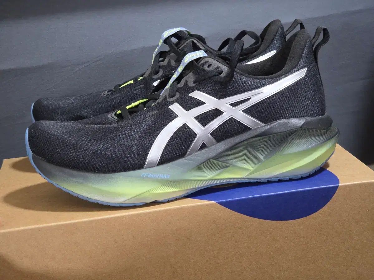 アシックス ノヴァブラスト5 ラスト 265 mm