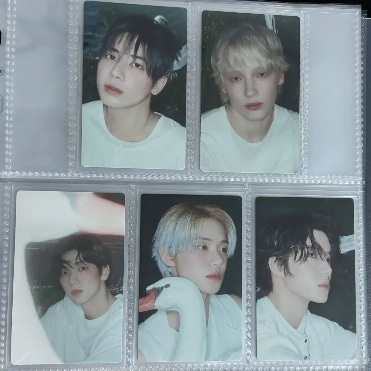 低価，高品質 TXT TOMORROW X TOGETHER(TXT) kithkissed スターキスド スタンダード アルバムトレカ まとめ その他