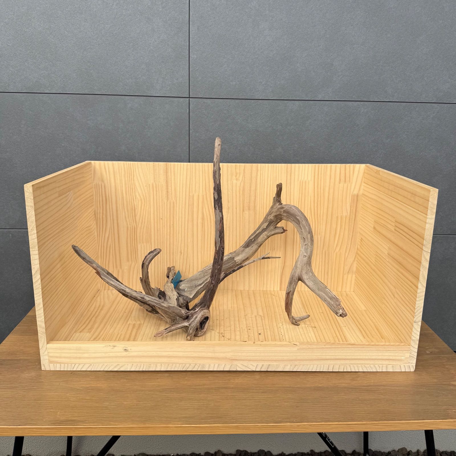 セレクト流木 現物発送 121801