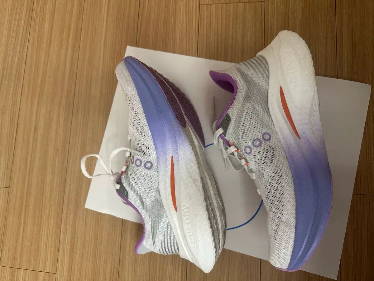 サッカニー エンドルフィン