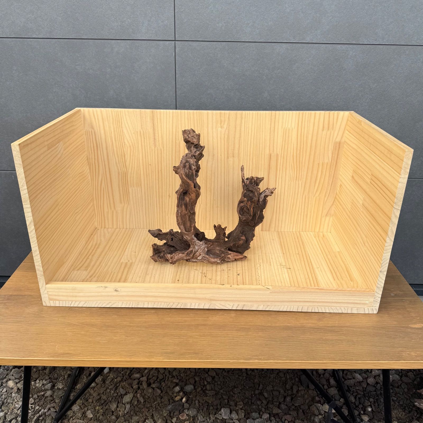 セレクト流木 現物発送 121802