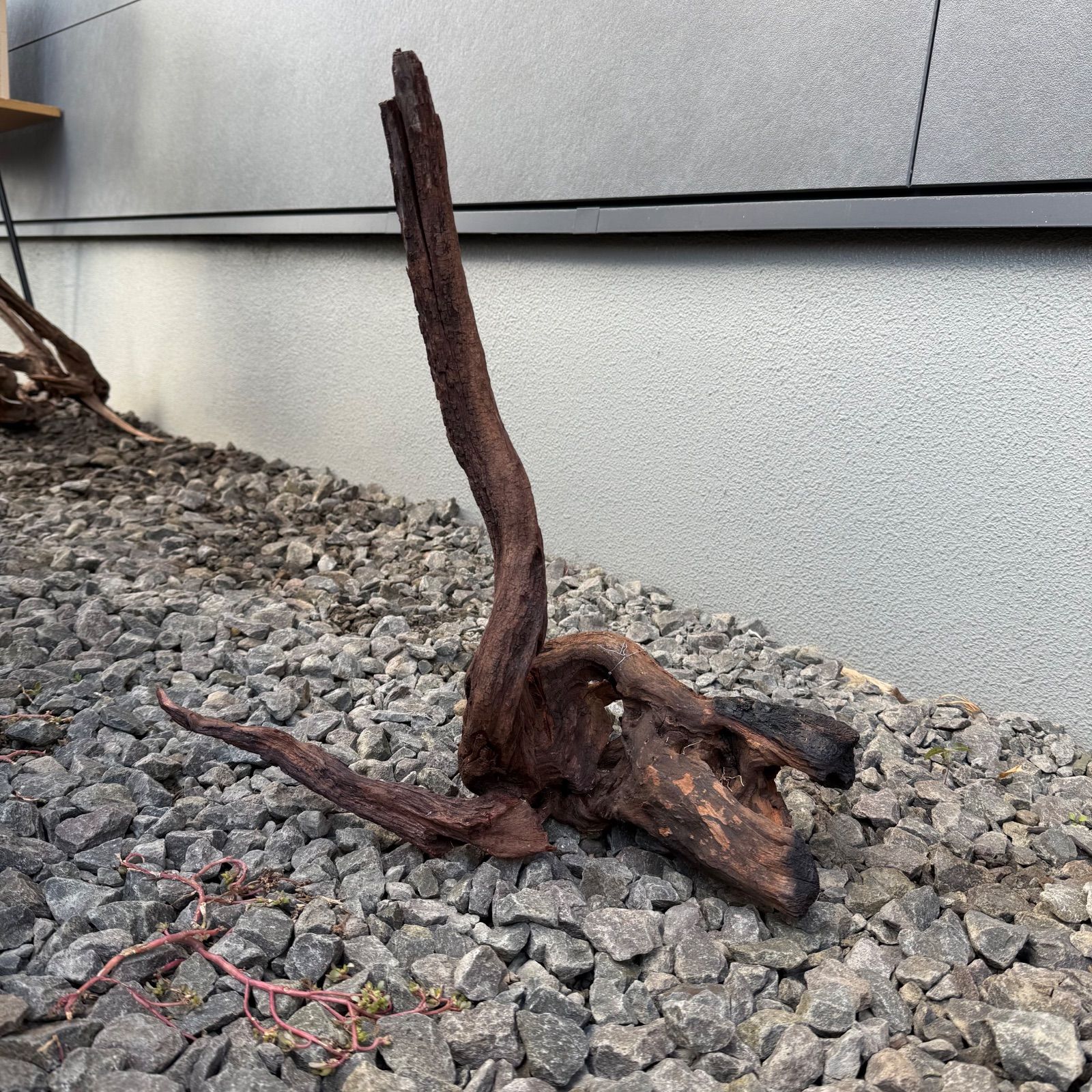 セレクト流木（現物発送）121803 - メルカリ