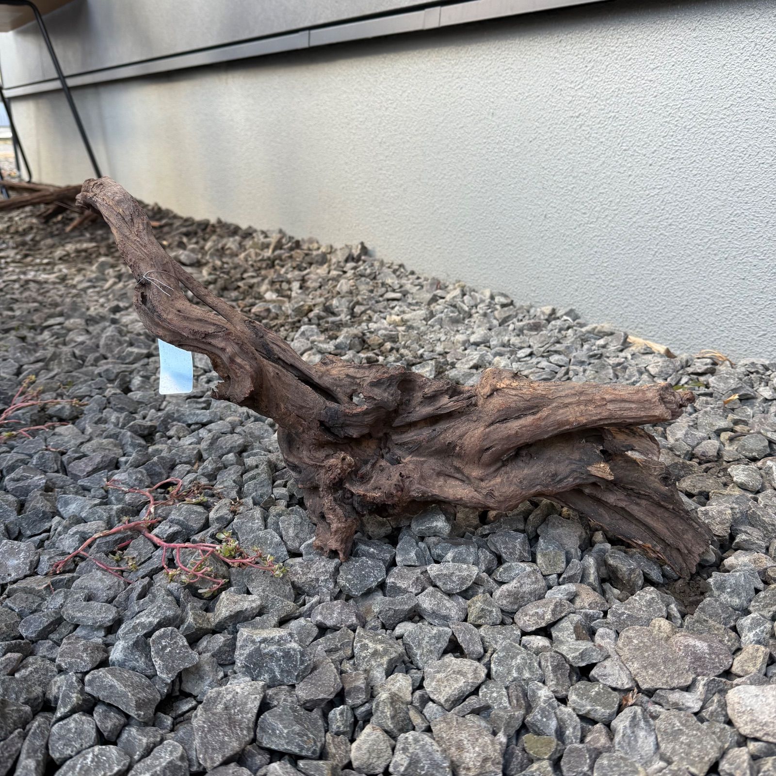 セレクト流木（現物発送）121804 - メルカリ