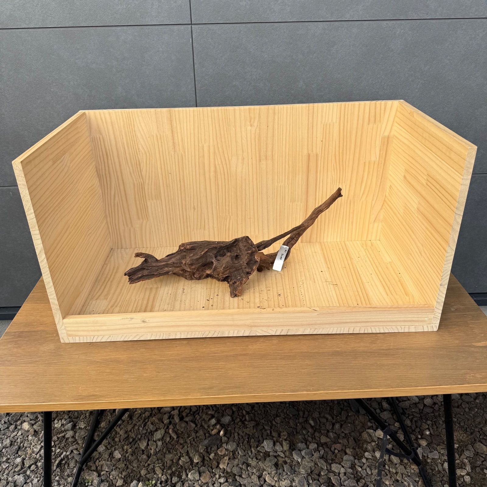 セレクト流木 現物発送 121804