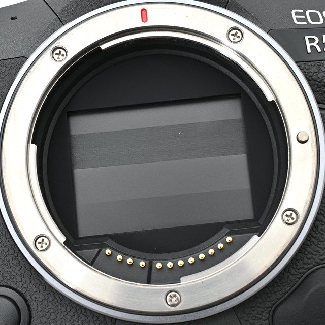 ボディ シャッター数