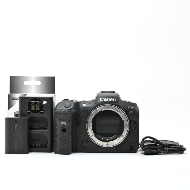 並品 Canon EOS R 5 ボディ 外観使用感あり リペア塗装済 動作良好の実用品 4500万画素フルサイズミラーレス 上位機
