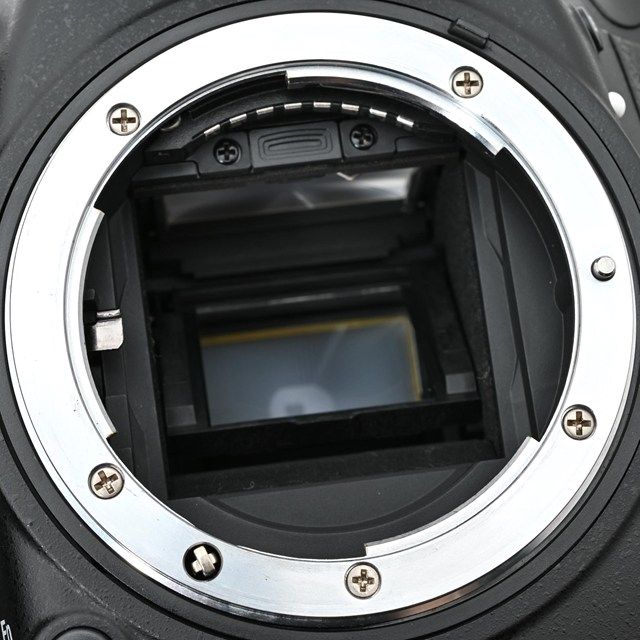 シャッター数12