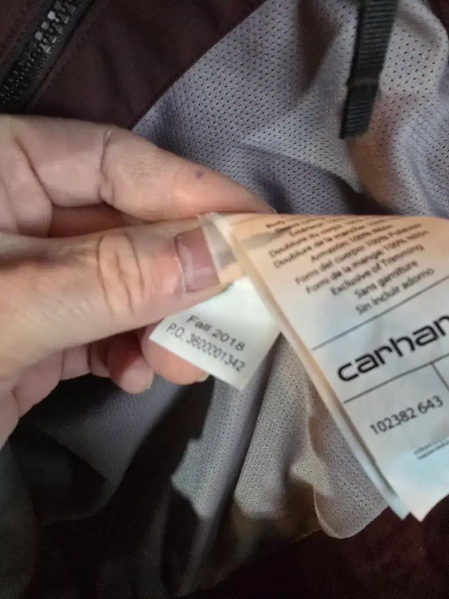 フード ジャケット