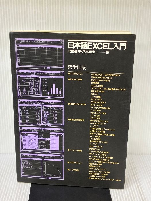 日本語EXCEL入門 啓学出版 北岡 知子